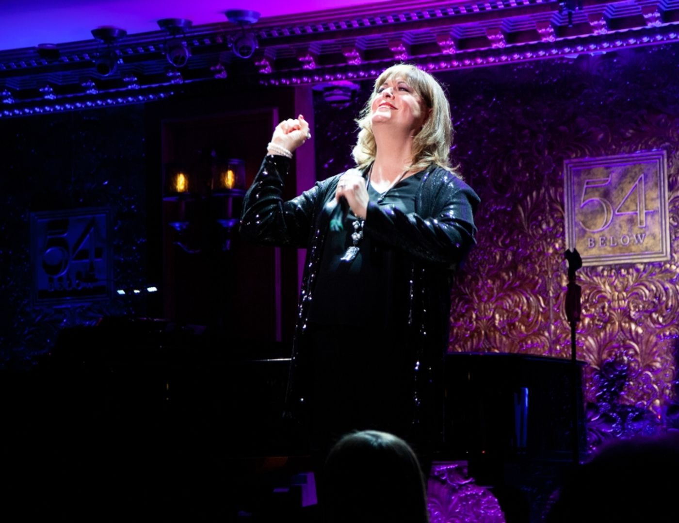 Photos: Amanda McBroom and Ann Hampton Callaway Own 54 Below Stage In DIVALICIOUS  Image