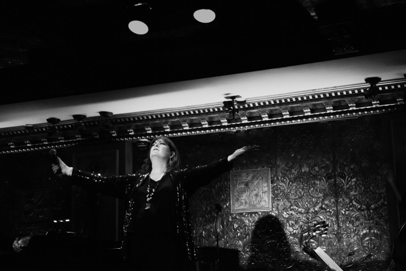 Photos: Amanda McBroom and Ann Hampton Callaway Own 54 Below Stage In DIVALICIOUS  Image