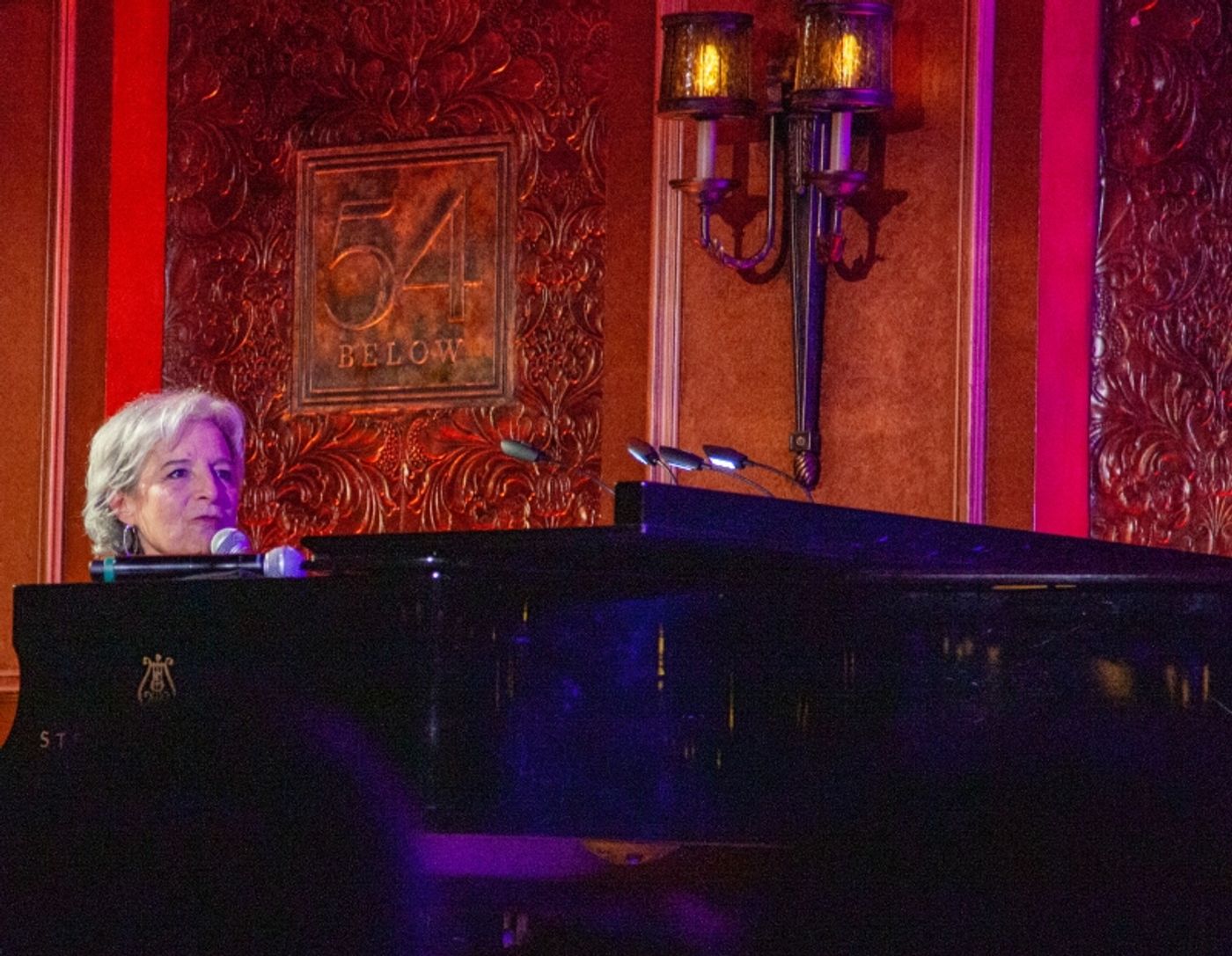 Photos: Amanda McBroom and Ann Hampton Callaway Own 54 Below Stage In DIVALICIOUS  Image