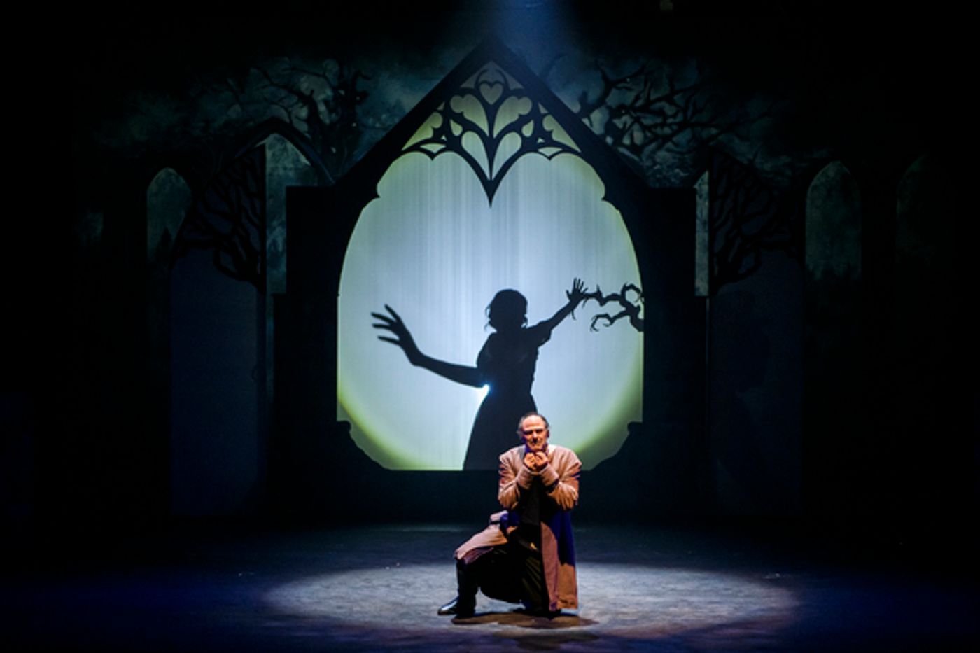 Review: BEAUTY AND THE BEAST at Synetic Theater  Image