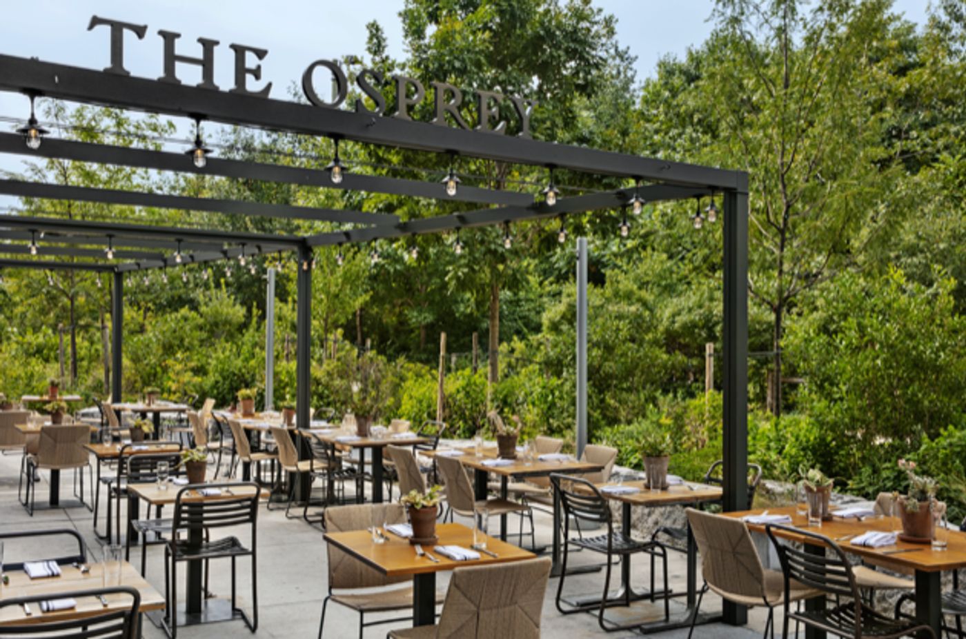 Review: THE OSPREY at 1 Hotel Brooklyn Bridge for Fabulous Weekend Brunches and More  Image