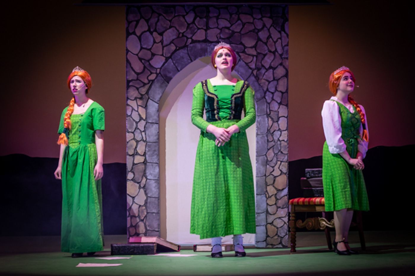 Photos: First look at Dublin Jerome High School Drama Club present's SHREK THE MUSICAL  Image