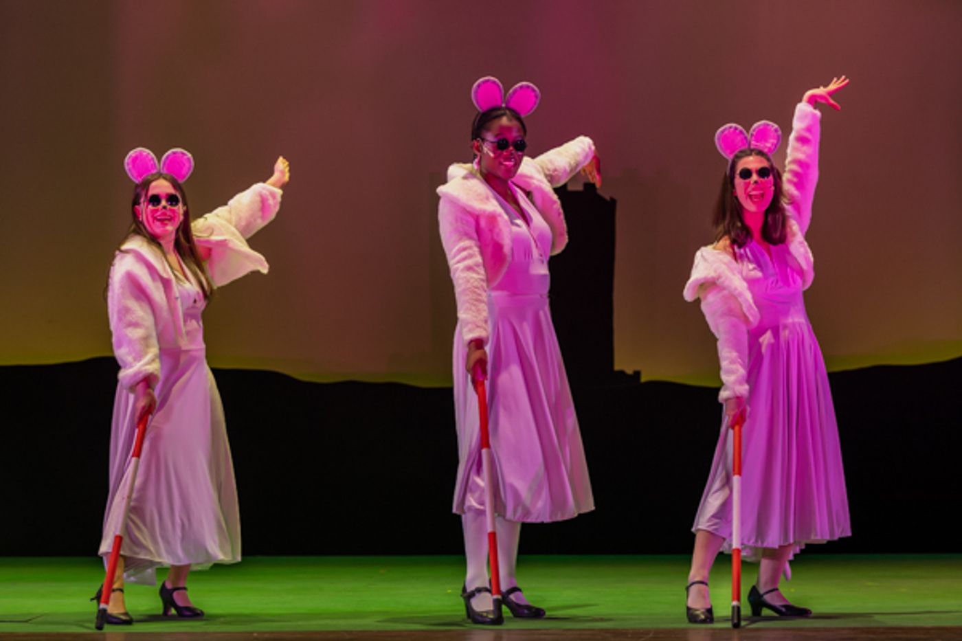 Photos: First look at Dublin Jerome High School Drama Club present's SHREK THE MUSICAL  Image