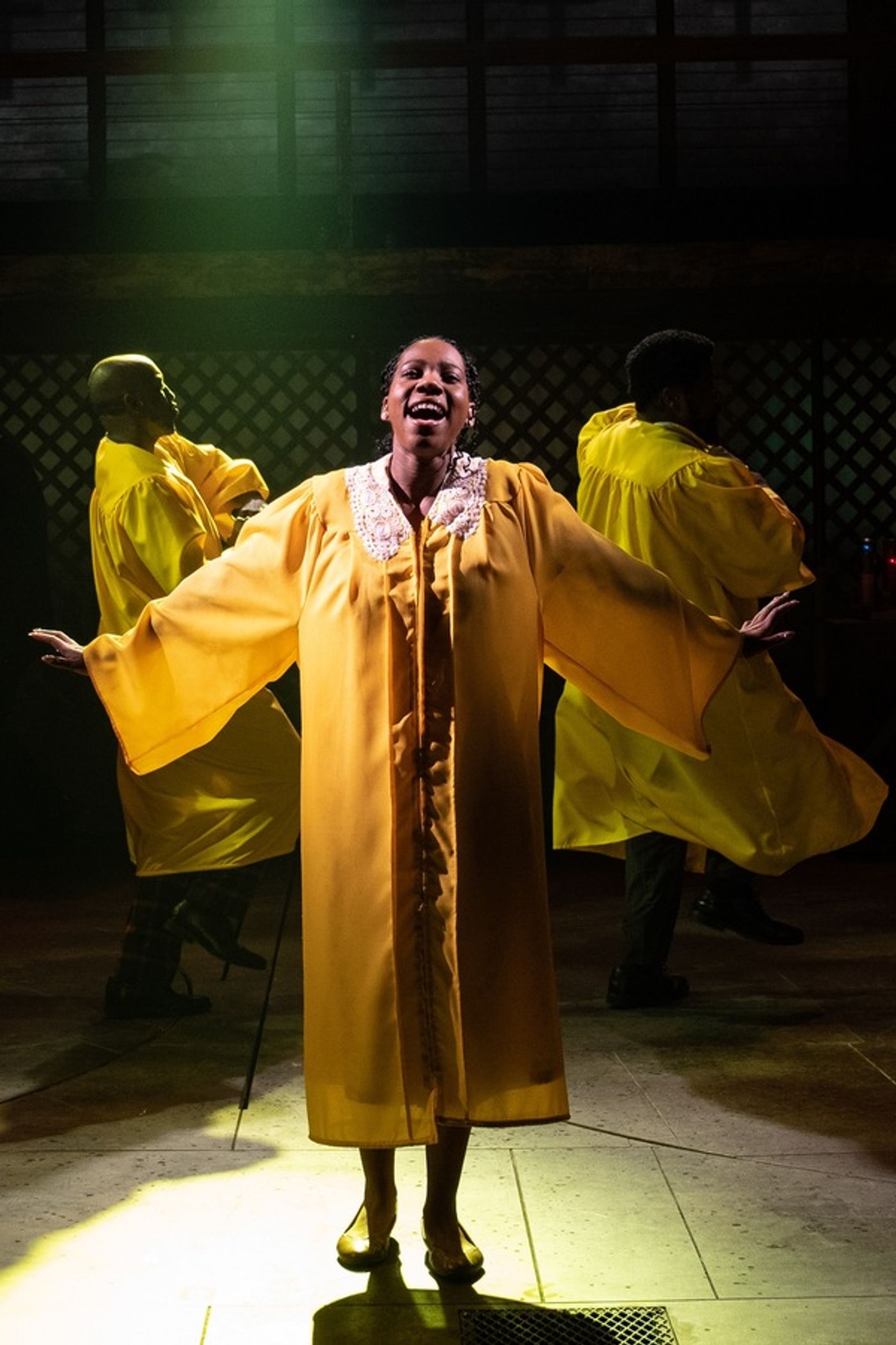 Photos: First Look at THE HARDER THEY COME at The Public Theater  Image