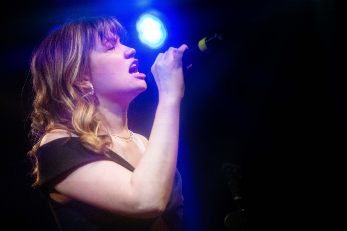 Photos: March 7th THE LINEUP WITH SUSIE MOSHER at Birdland Theater By Matt Baker  Image