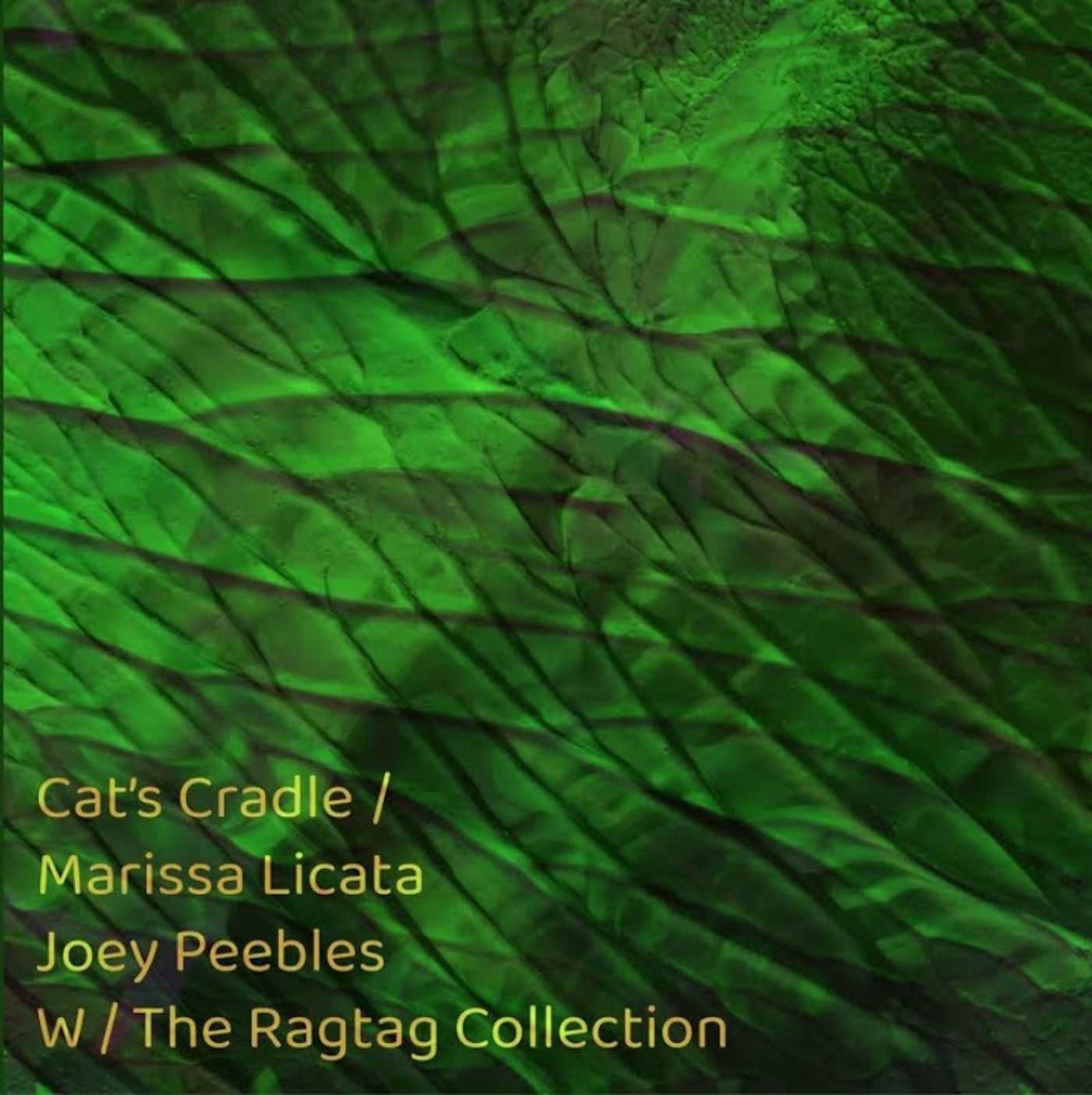 Music Review: Marissa Licata & The Rag Tag Collection Weave a Fascinating CAT'S CRADLE  Image