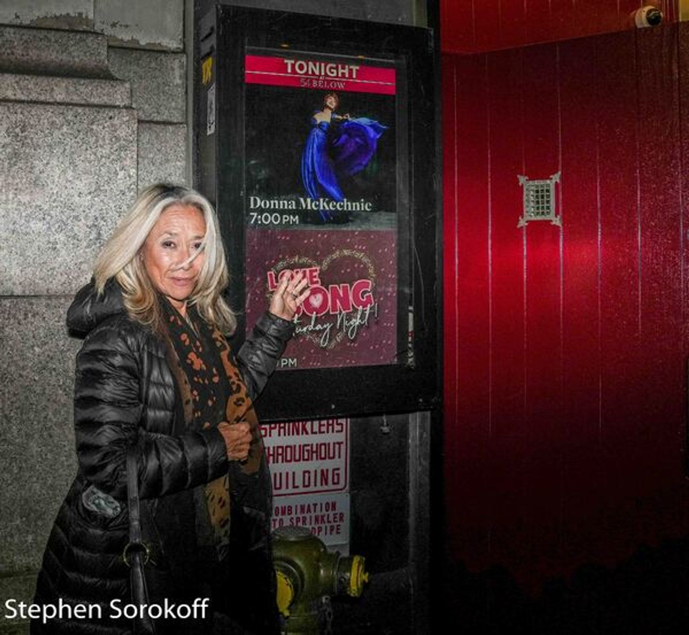 PHOTOS: Donna McKechnie Plays 54 Below  Image