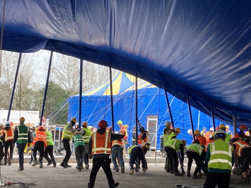 KURIOS - CABINET OF CURIOSITIES a ROMA TOR DI QUINTO  Image