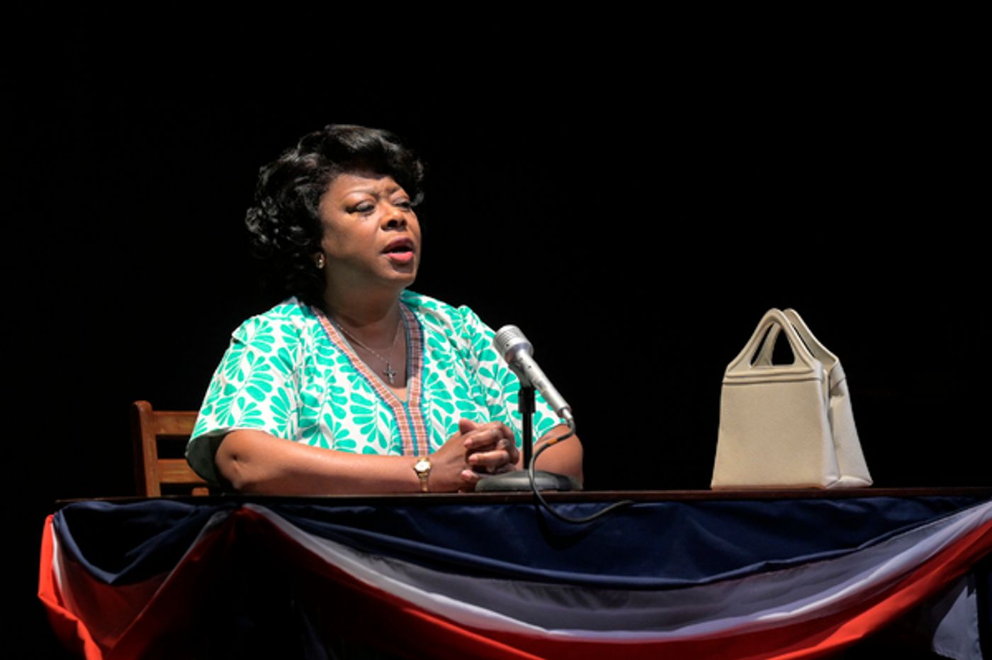 Photos: First Look at TheatreWorks Silicon Valley's FANNIE  Image