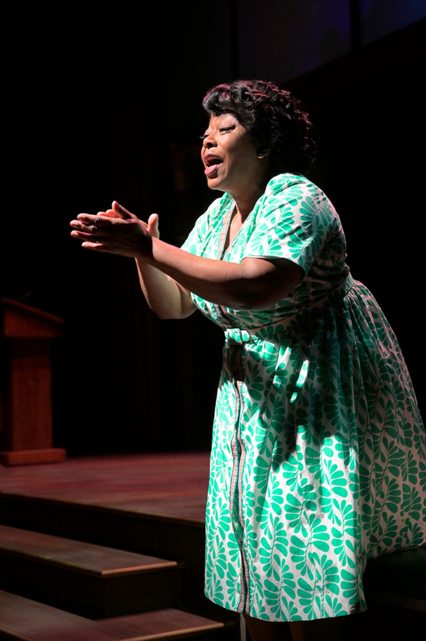 Photos: First Look at TheatreWorks Silicon Valley's FANNIE  Image