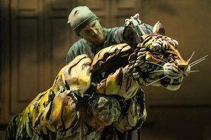 Rowan Magee, Celia Mei Rubin, and Nikki Calonge Photo