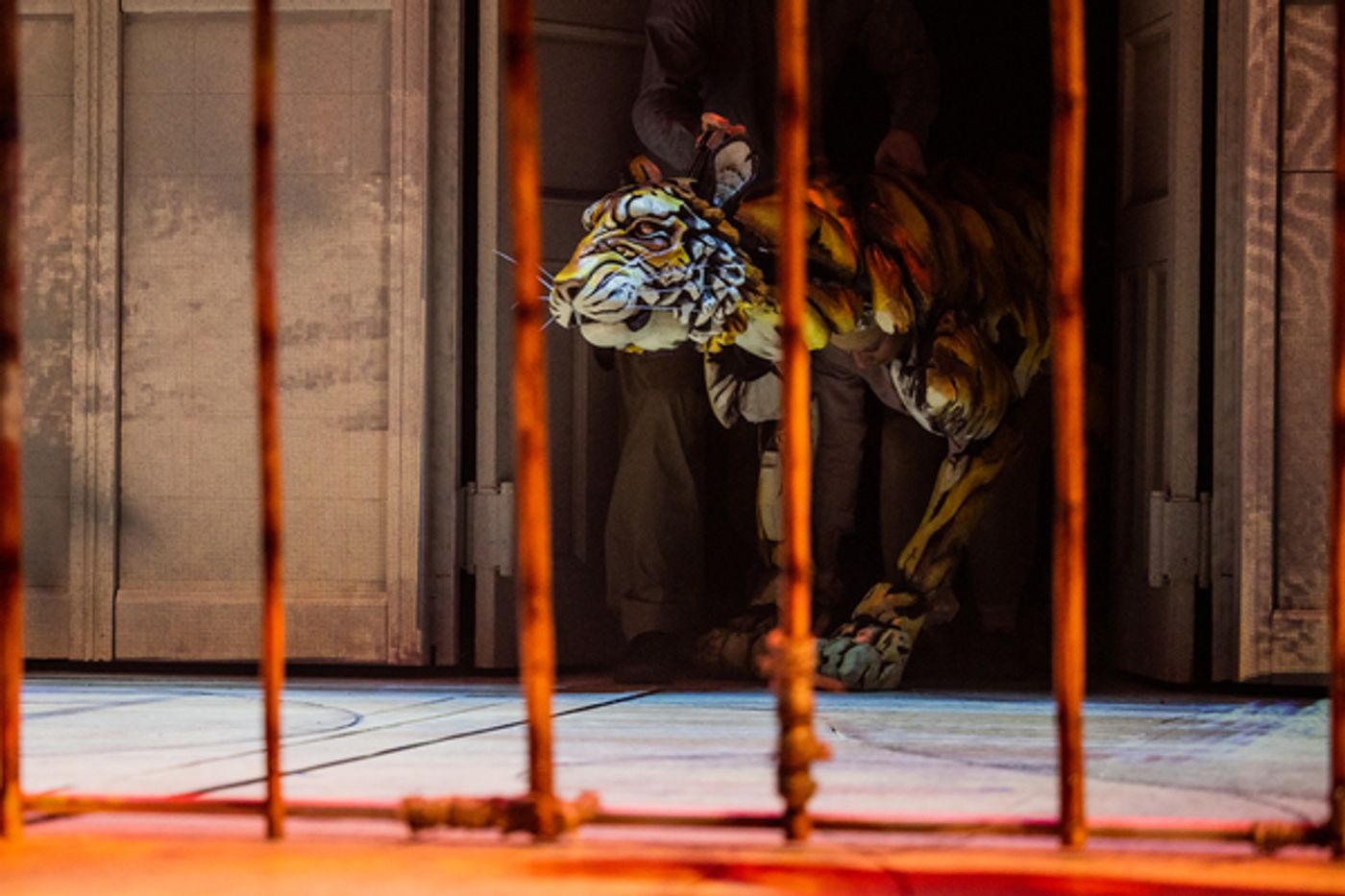 Photos: Get a First Look at LIFE OF PI on Broadway  Image