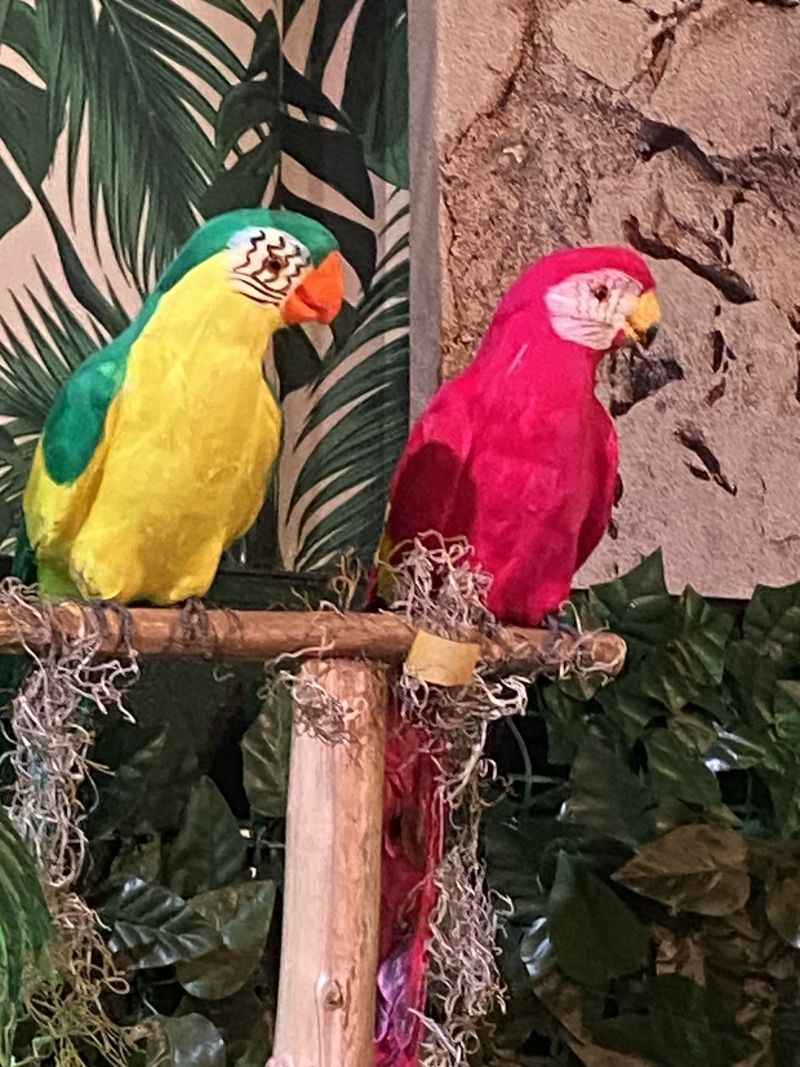 Review: JIMMY BUFFETT'S ESCAPE TO MARGARITAVILLE at Desert Theatreworks is a Rollicking Good Time  Image