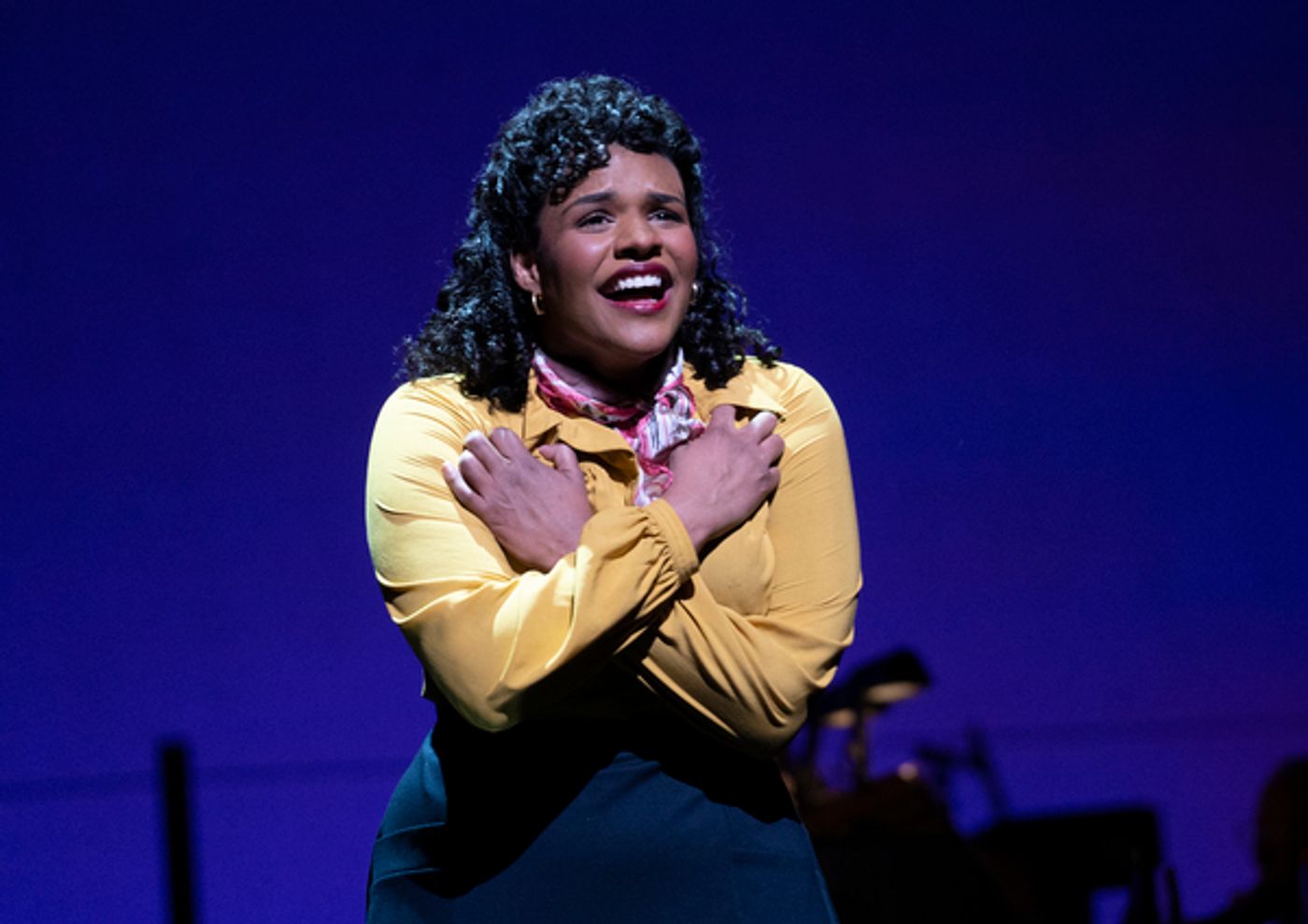 Photos/Video: First Look at Donna Murphy, Brooks Ashmanskas & More in DEAR WORLD at Encores!  Image