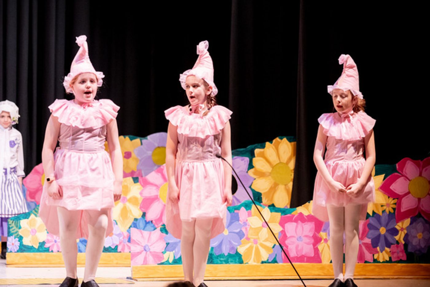 Photos: First Look At Liberty Union Musical Theater's THE WIZARD OF OZ  Image