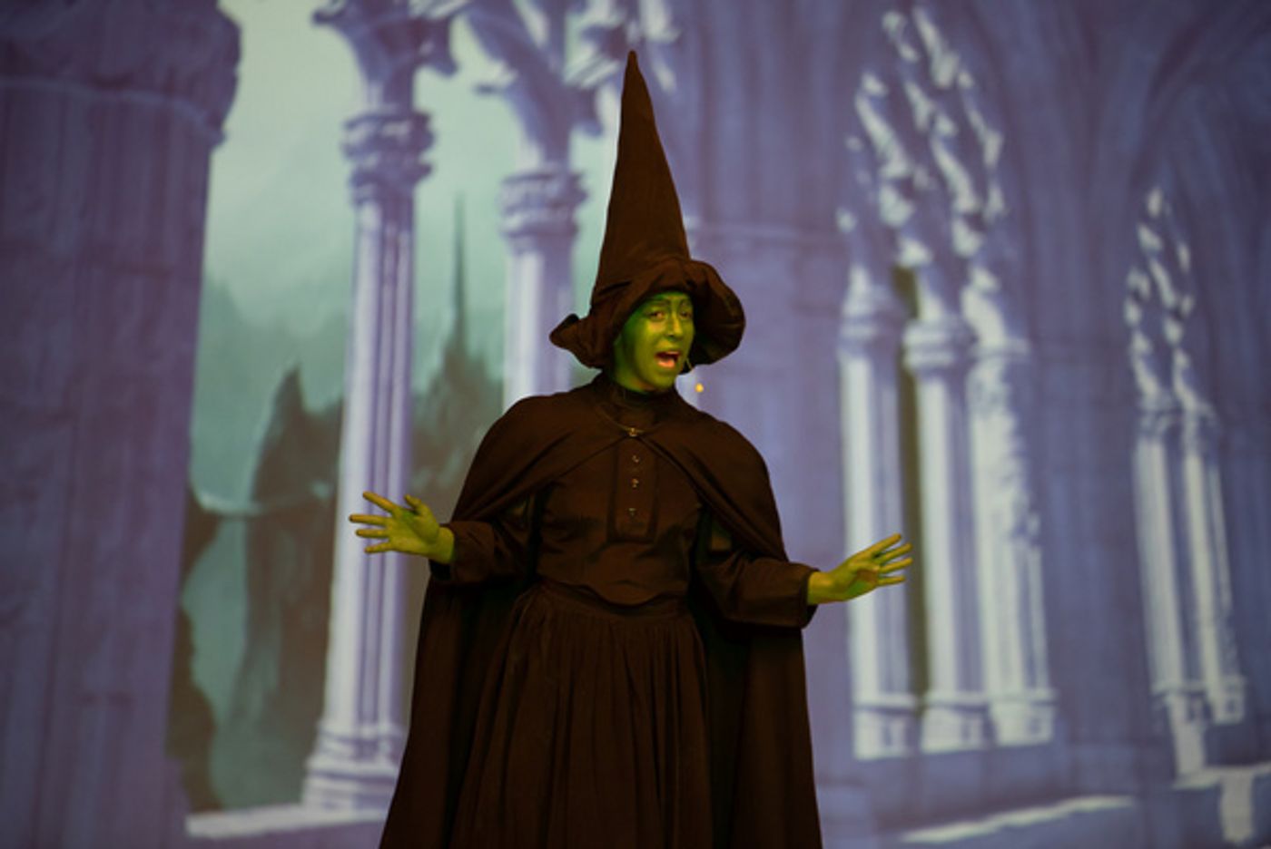Photos: First Look At Liberty Union Musical Theater's THE WIZARD OF OZ  Image