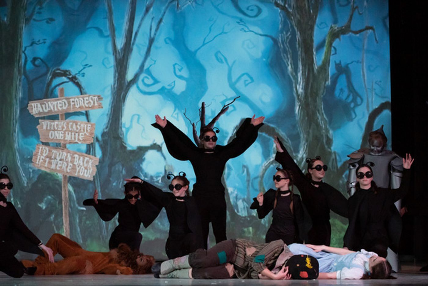 Photos: First Look At Liberty Union Musical Theater's THE WIZARD OF OZ  Image