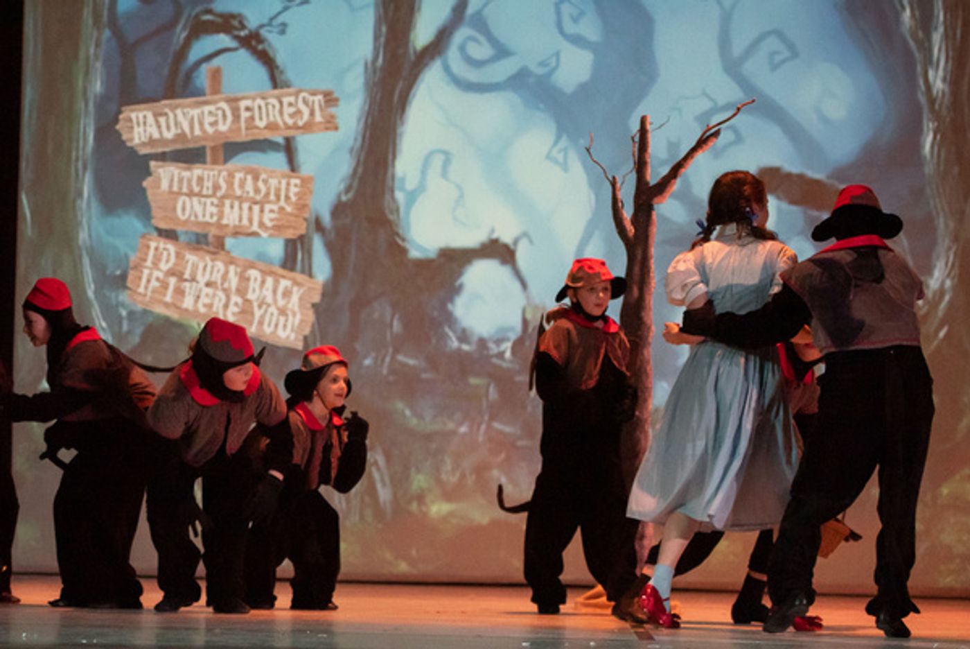Photos: First Look At Liberty Union Musical Theater's THE WIZARD OF OZ  Image