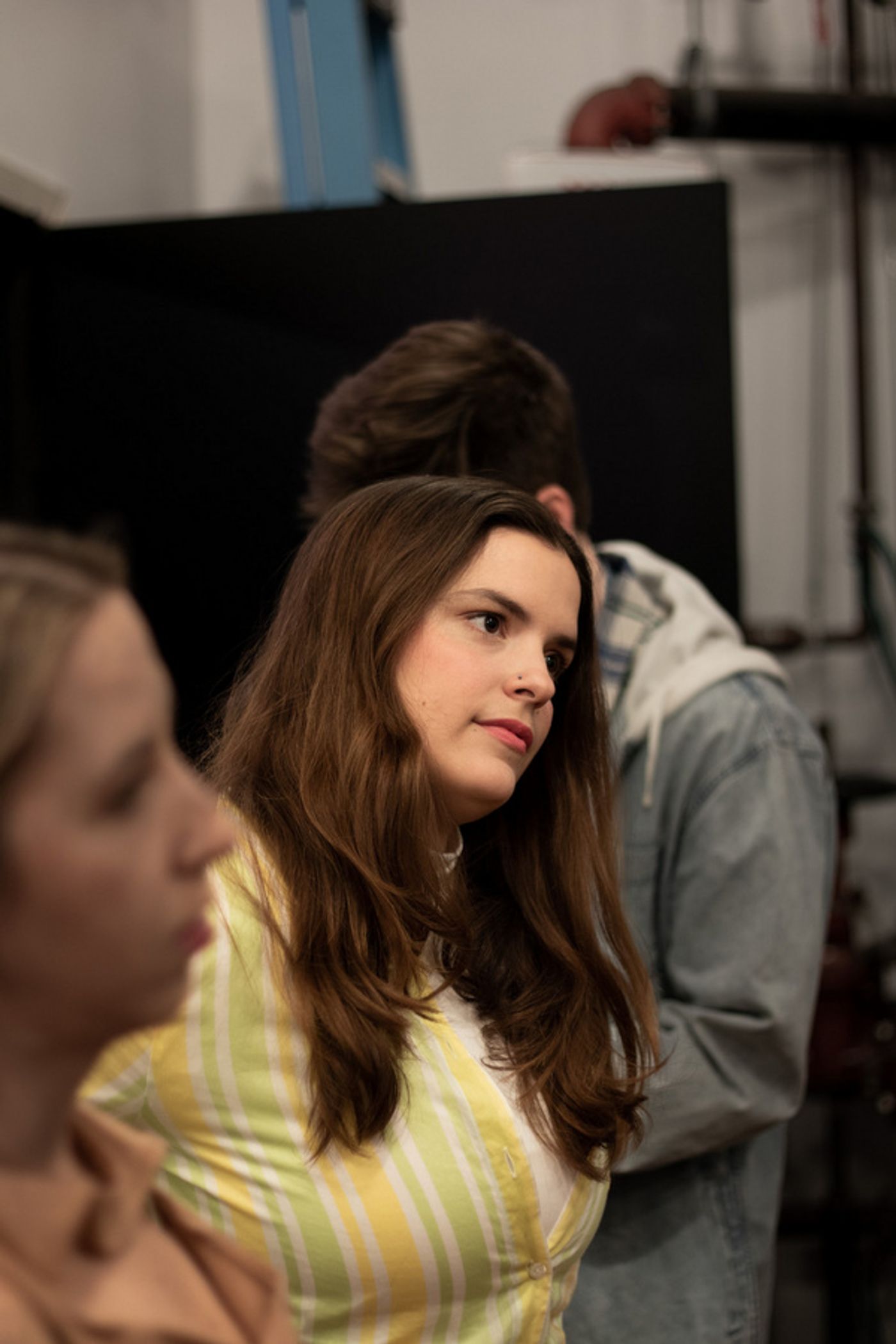 Photos: First Look At THE CHICKENS HAVE COME HOME TO ROOST At Triskelion Arts  Image