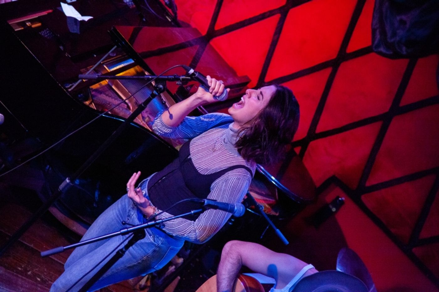 Review: THE HEARTSTRINGS PROJECT Fills Rockwood Music Hall With Feelings And Fans Review: THE HEARTSTRINGS PROJECT Fills Rockwood Music Hall With Feelings And Fans Image