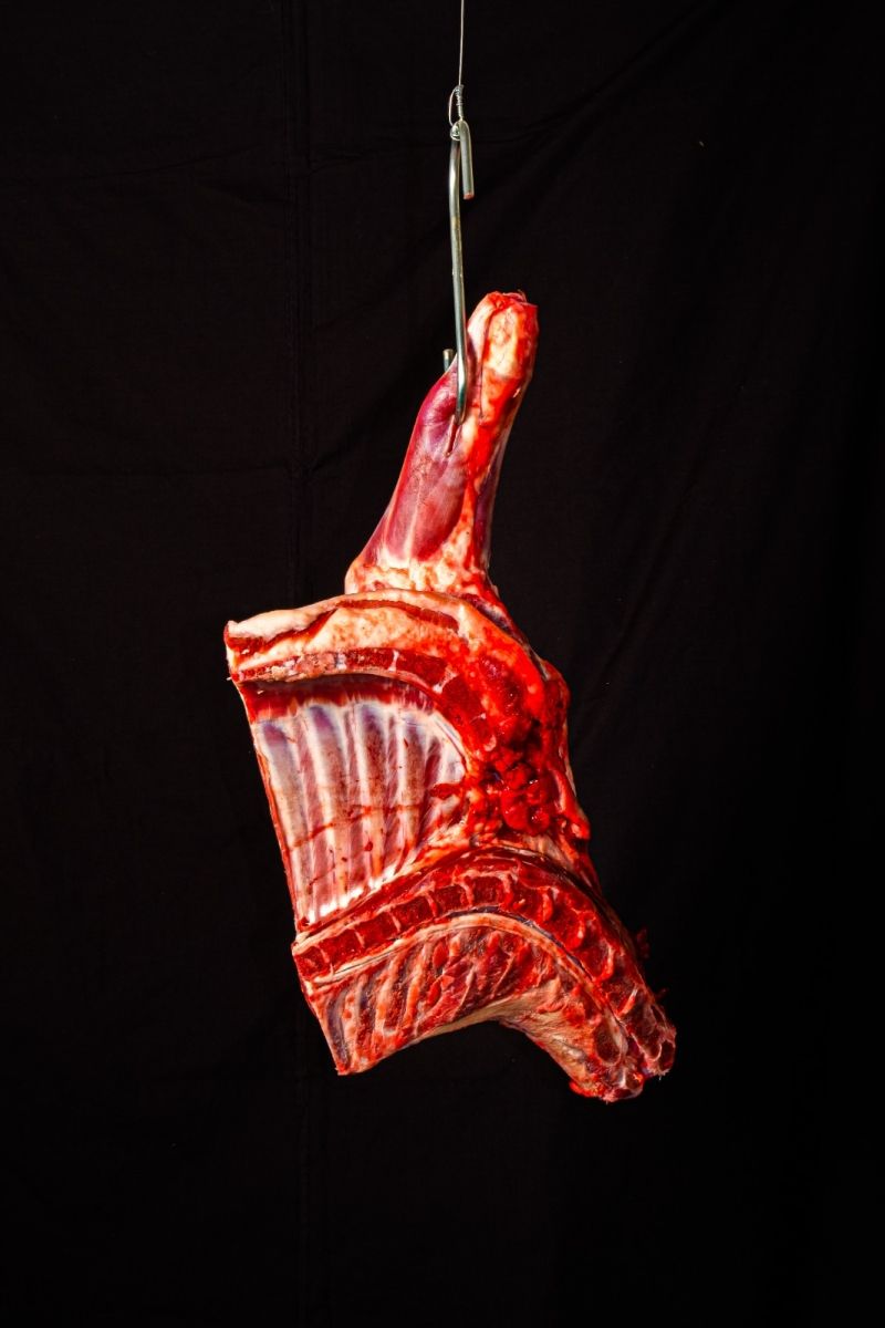 Review: THE RANGERS at the Masambe Theatre Makes for a Riveting and Explosive Directorial Debut Review: THE RANGERS at the Masambe Theatre Makes for a Riveting and Explosive Directorial Debut Image