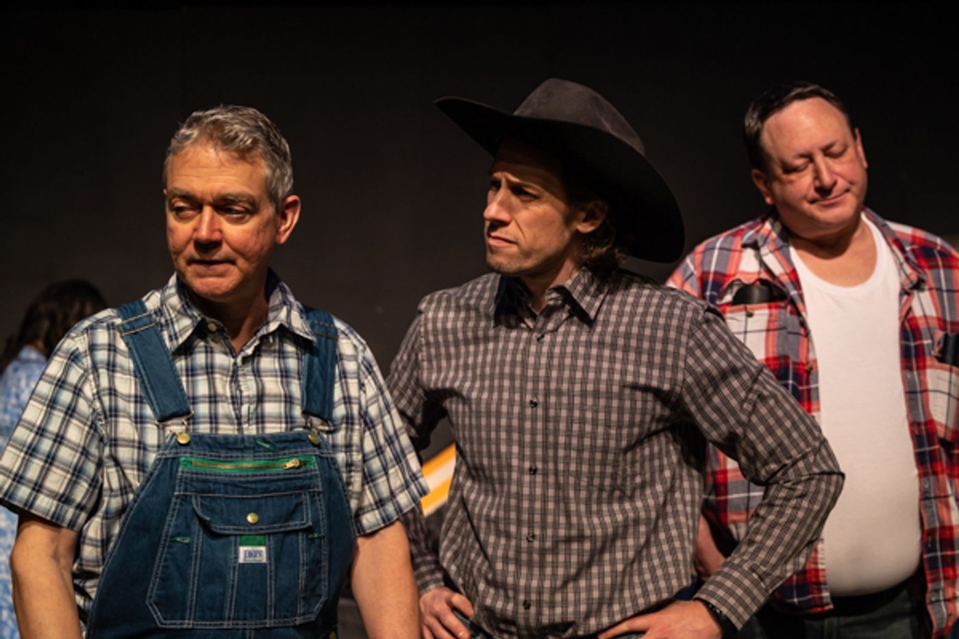 Photos: First look at Aethereal Jest Arts Council's Community Theatre Triple Feature - Volume One  Image