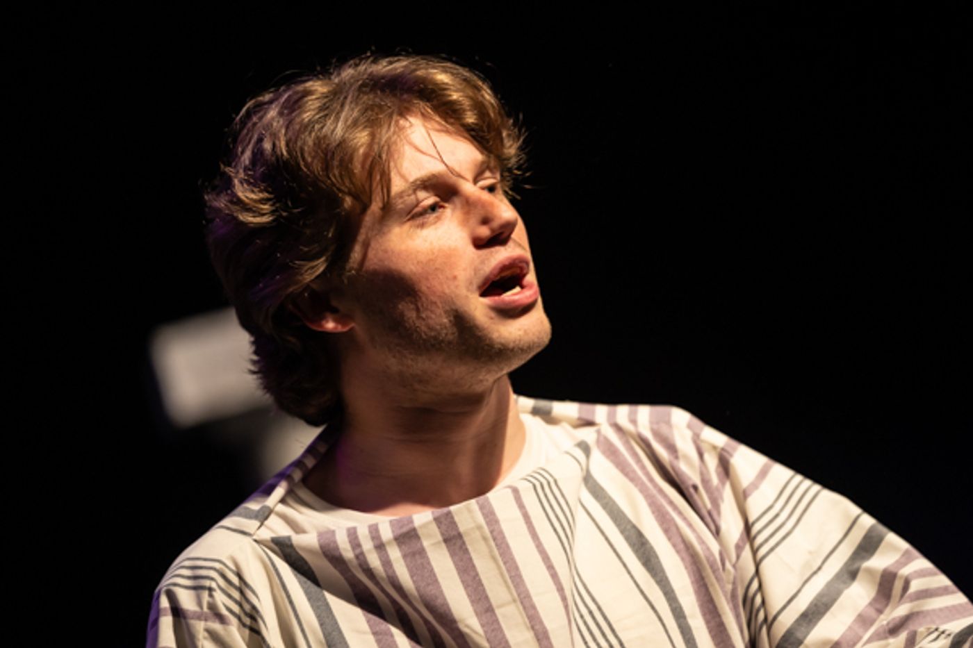 Photos: First look at Aethereal Jest Arts Council's Community Theatre Triple Feature - Volume One  Image