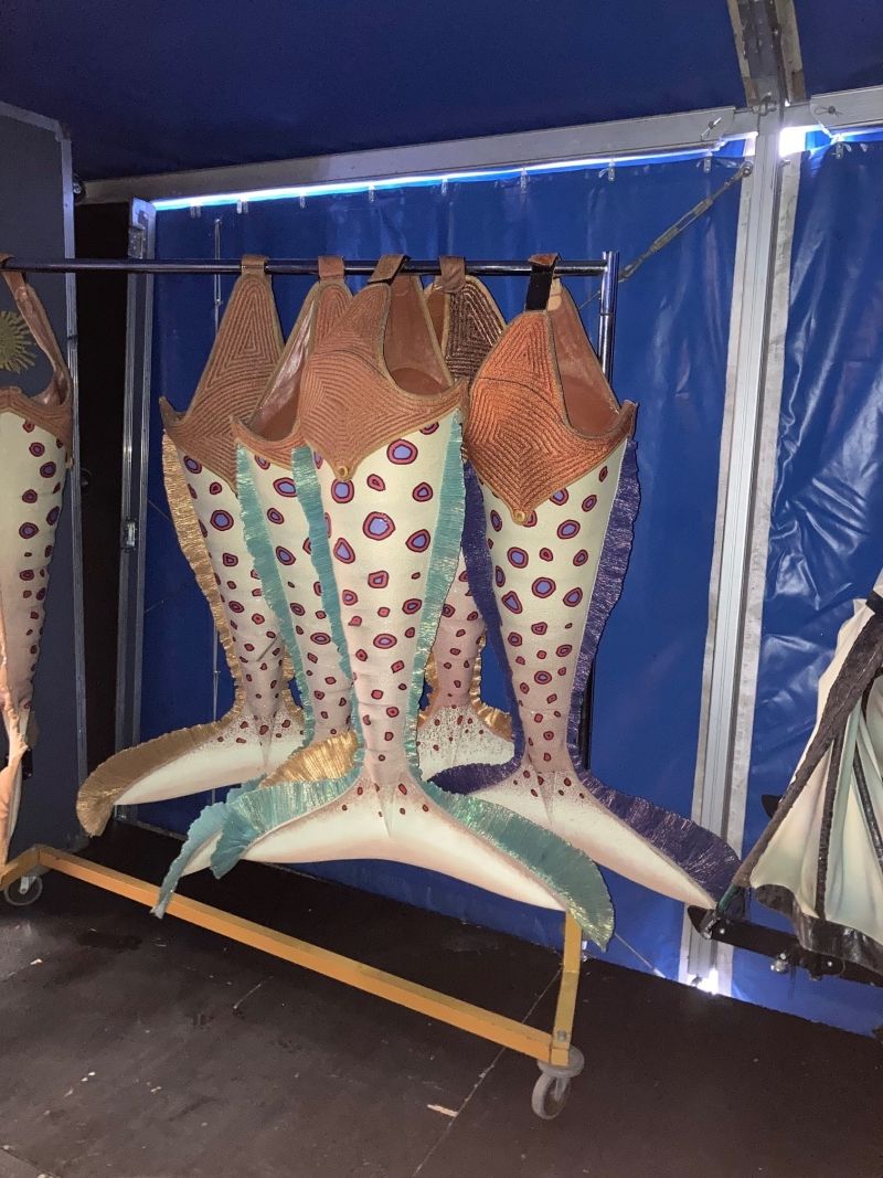 Review: KURIOS - CABINET OF CURIOSITIES al Tendone di TOR DI QUINTO  Image