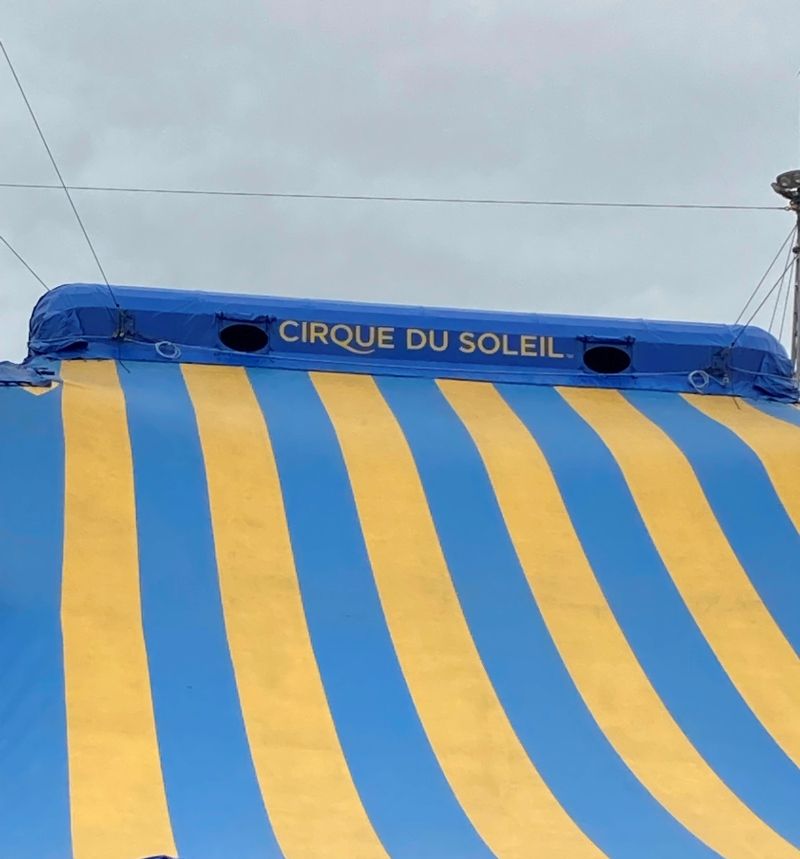 Review: KURIOS - CABINET OF CURIOSITIES al Tendone di TOR DI QUINTO  Image