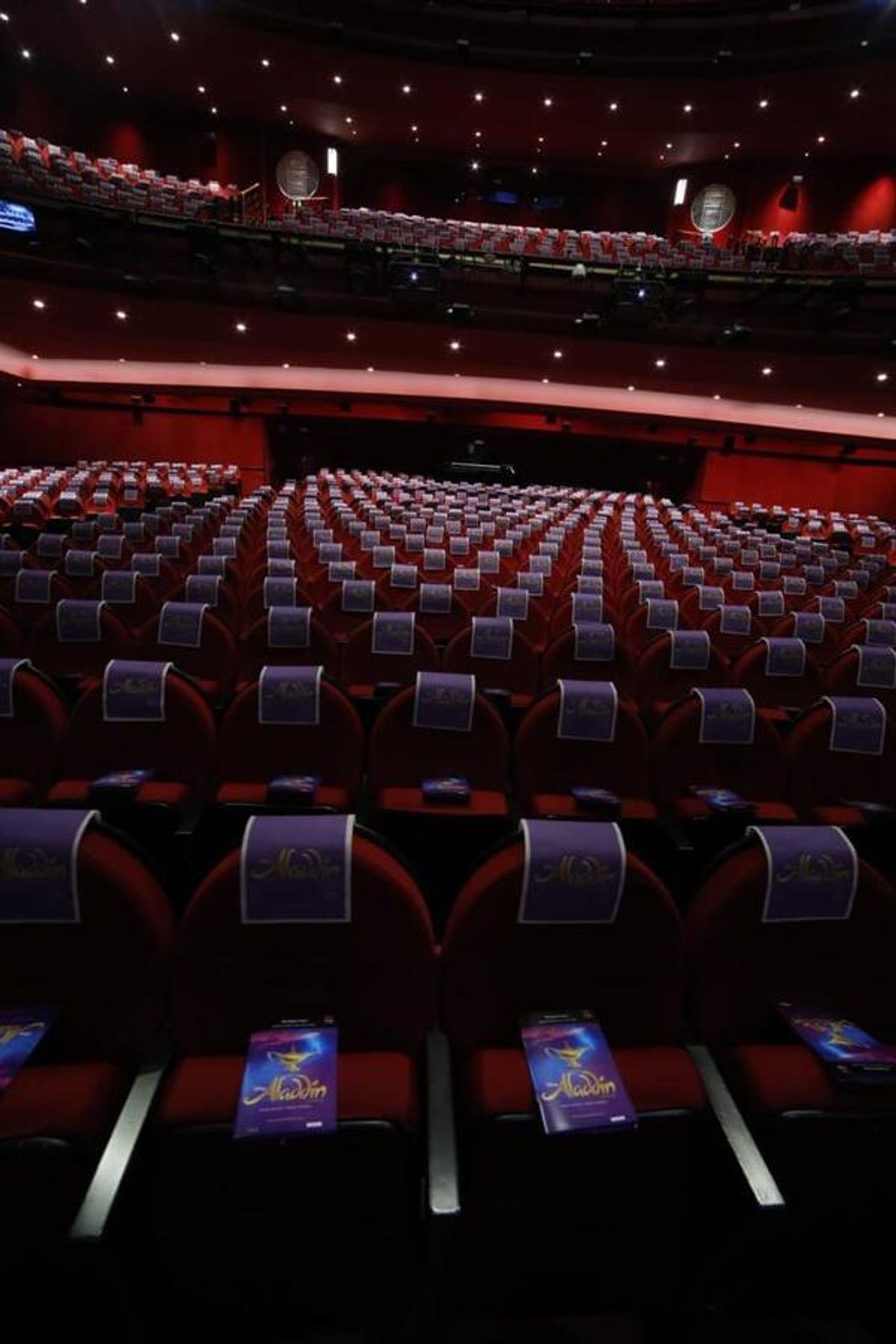 Photos: Noche de estreno de ALADDIN en el Coliseum de Madrid Photos: Noche de estreno de ALADDIN en el Coliseum de Madrid Image