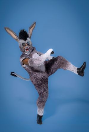 Brandon Lee Sears Photo