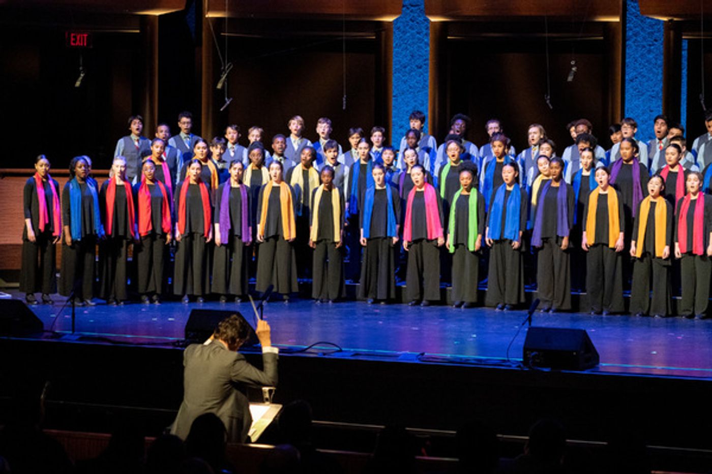 Photos: See Jordan Donica, Emilie Kouatchou & More at Young People's Chorus of New York City's Benefit Concert  Image