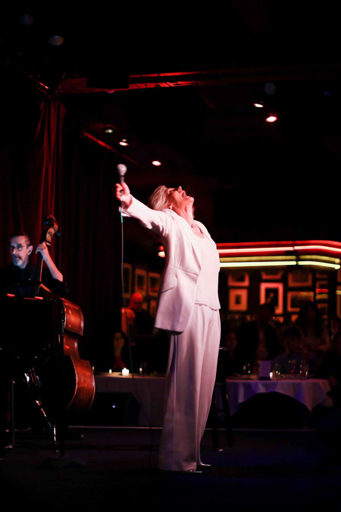 Photos: Karen Mason Returns To Birdland!  Image