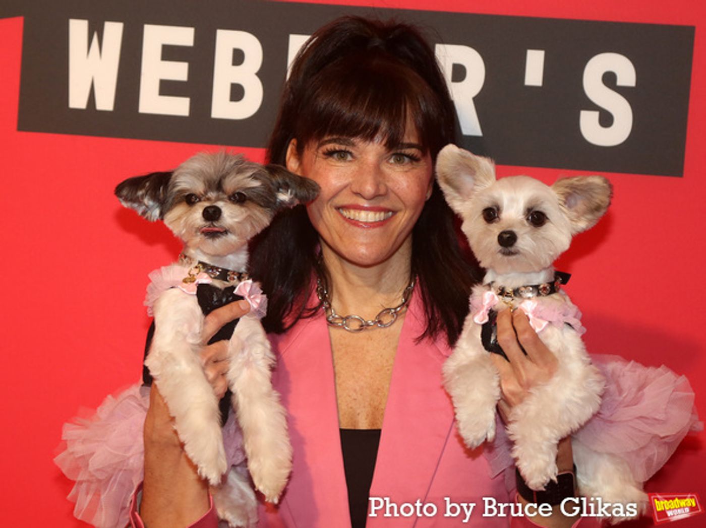 Photos: Stars Arrive on the BAD CINDERELLA Opening Night Red Carpet  Image