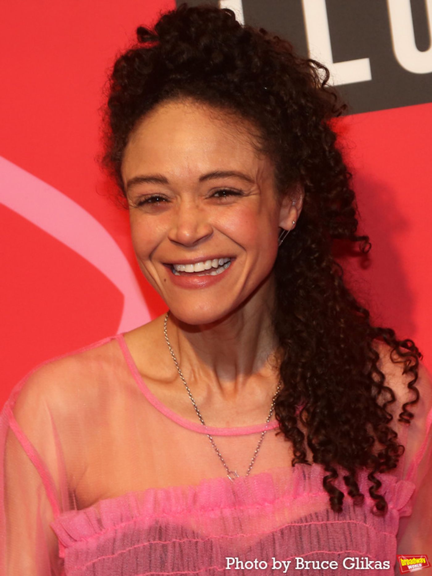 Photos: Stars Arrive on the BAD CINDERELLA Opening Night Red Carpet  Image
