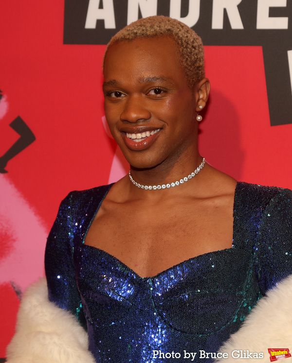 Photos: Stars Arrive on the BAD CINDERELLA Opening Night Red Carpet — photo 78 of 110