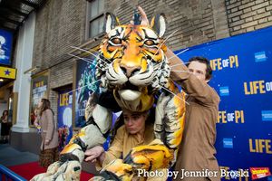 "Richard Parker" Photo
