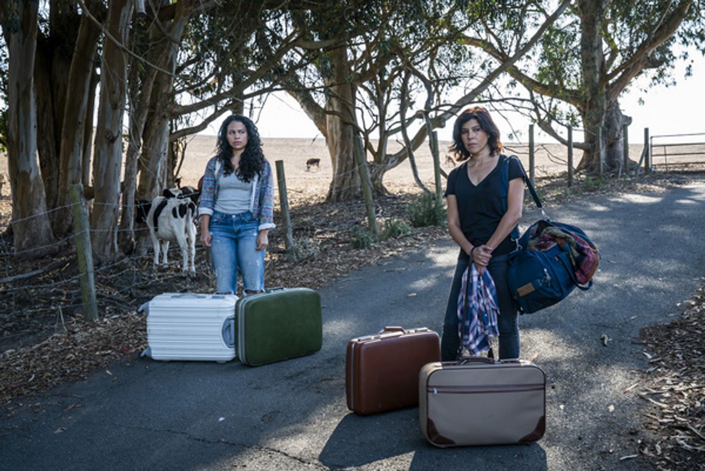 Photos: First Look At Amazon Freevee's CASA GRANDE  Image