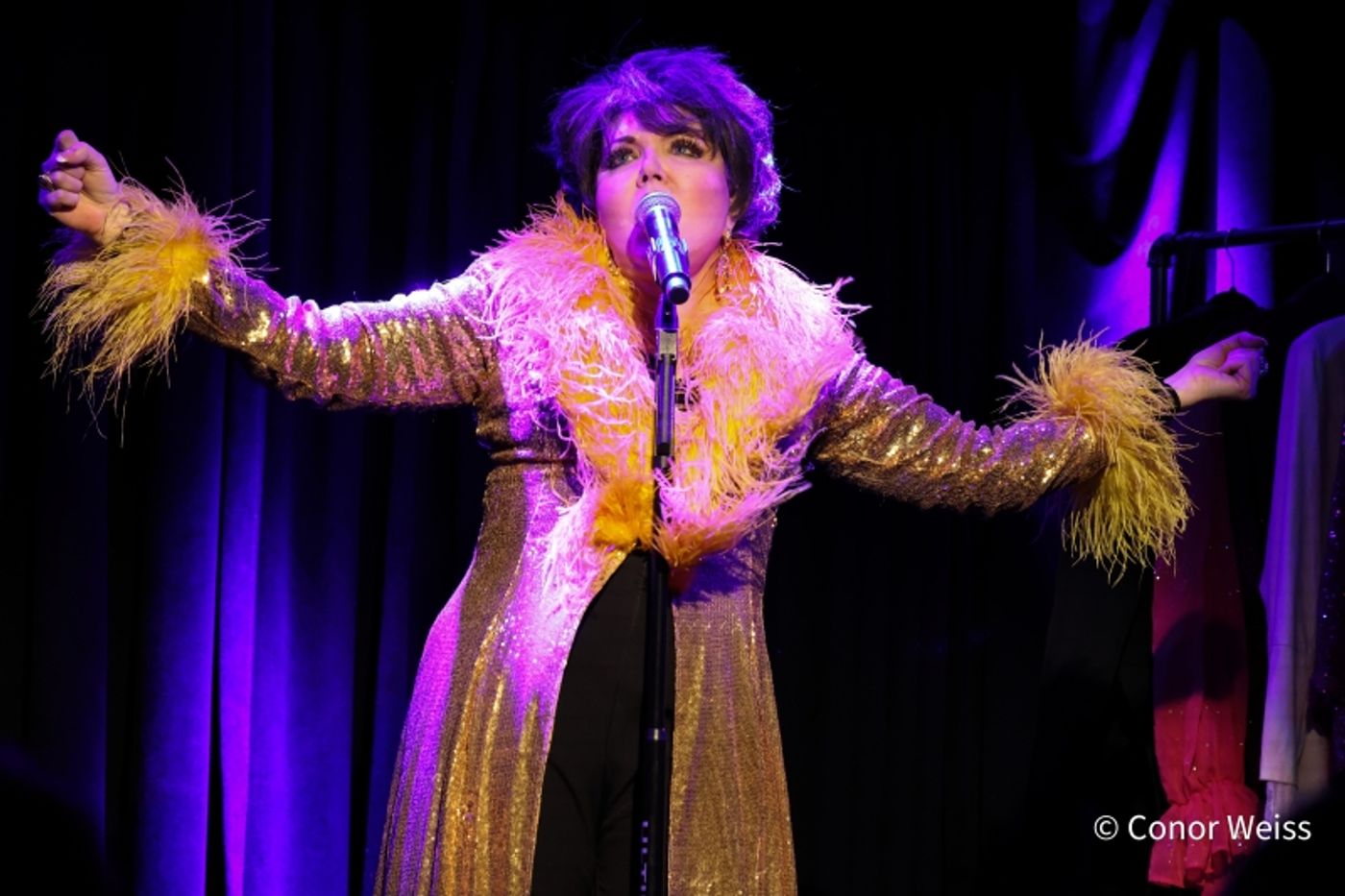 Photos: Dorothy Bishop Presents THE DOZEN DIVAS SHOW at The Triad Photos: Dorothy Bishop Presents THE DOZEN DIVAS SHOW at The Triad Image