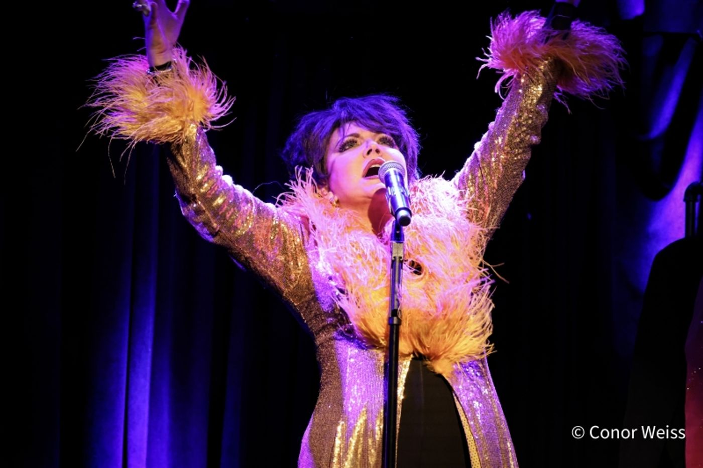 Photos: Dorothy Bishop Presents THE DOZEN DIVAS SHOW at The Triad Photos: Dorothy Bishop Presents THE DOZEN DIVAS SHOW at The Triad Image