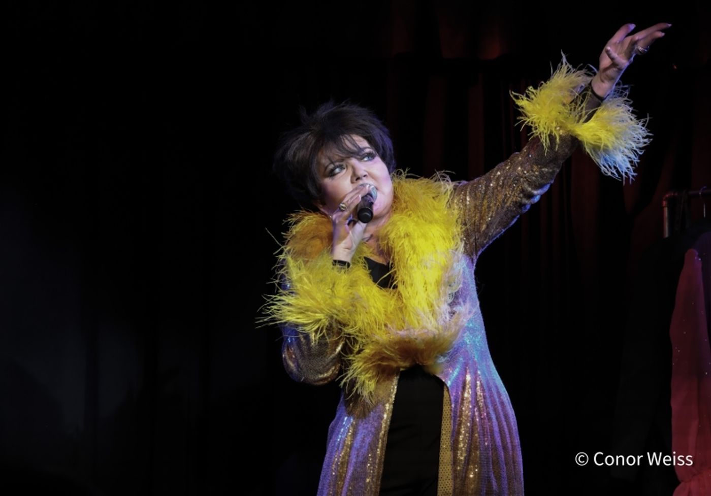 Photos: Dorothy Bishop Presents THE DOZEN DIVAS SHOW at The Triad Photos: Dorothy Bishop Presents THE DOZEN DIVAS SHOW at The Triad Image