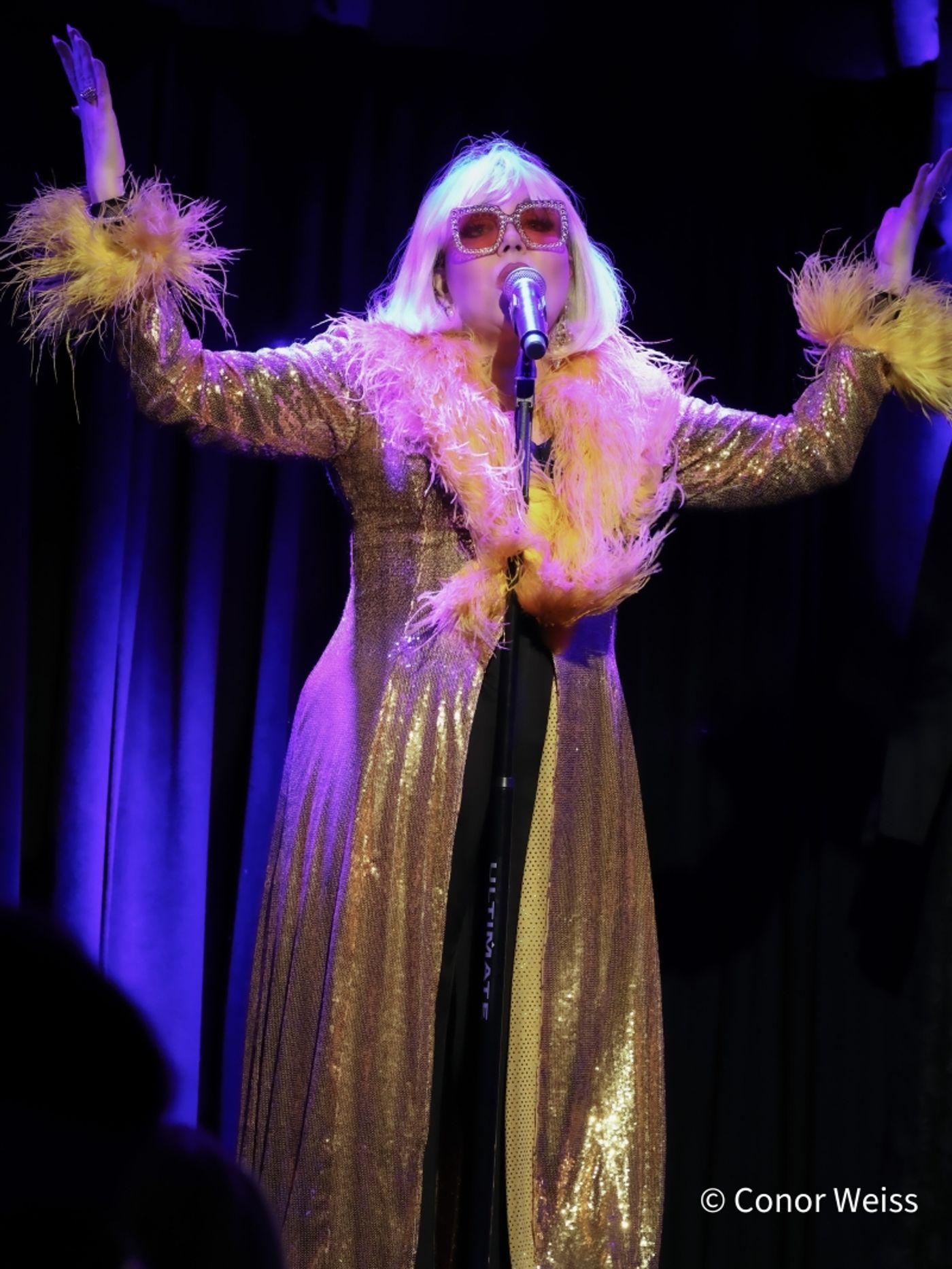 Photos: Dorothy Bishop Presents THE DOZEN DIVAS SHOW at The Triad Photos: Dorothy Bishop Presents THE DOZEN DIVAS SHOW at The Triad Image