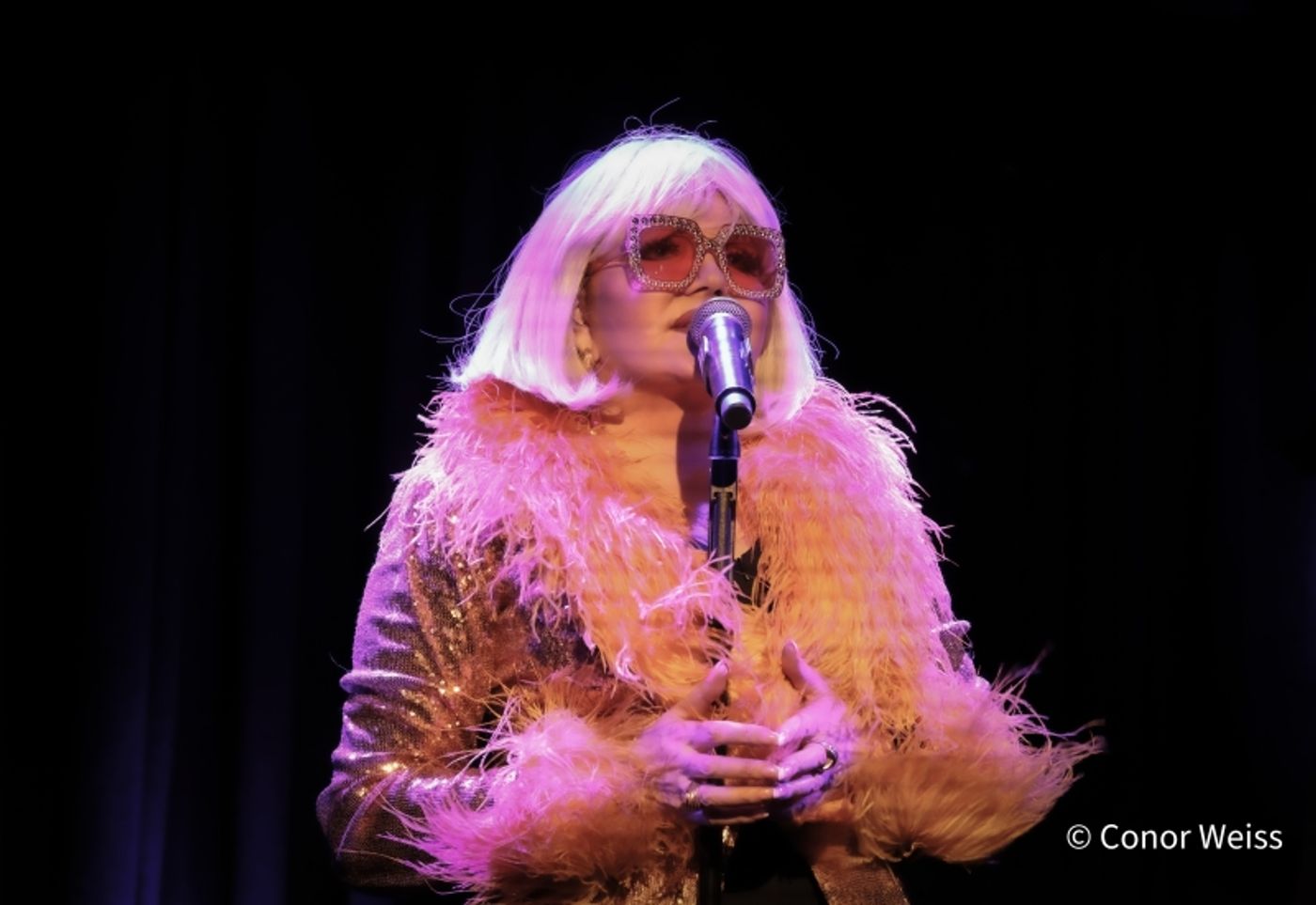 Photos: Dorothy Bishop Presents THE DOZEN DIVAS SHOW at The Triad Photos: Dorothy Bishop Presents THE DOZEN DIVAS SHOW at The Triad Image