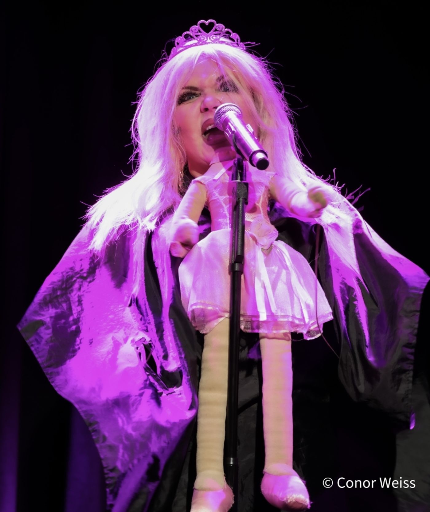 Photos: Dorothy Bishop Presents THE DOZEN DIVAS SHOW at The Triad Photos: Dorothy Bishop Presents THE DOZEN DIVAS SHOW at The Triad Image