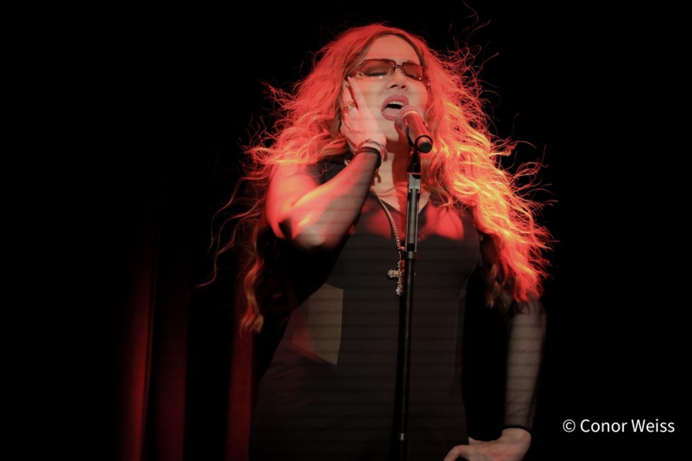 Photos: Dorothy Bishop Presents THE DOZEN DIVAS SHOW at The Triad Photos: Dorothy Bishop Presents THE DOZEN DIVAS SHOW at The Triad Image