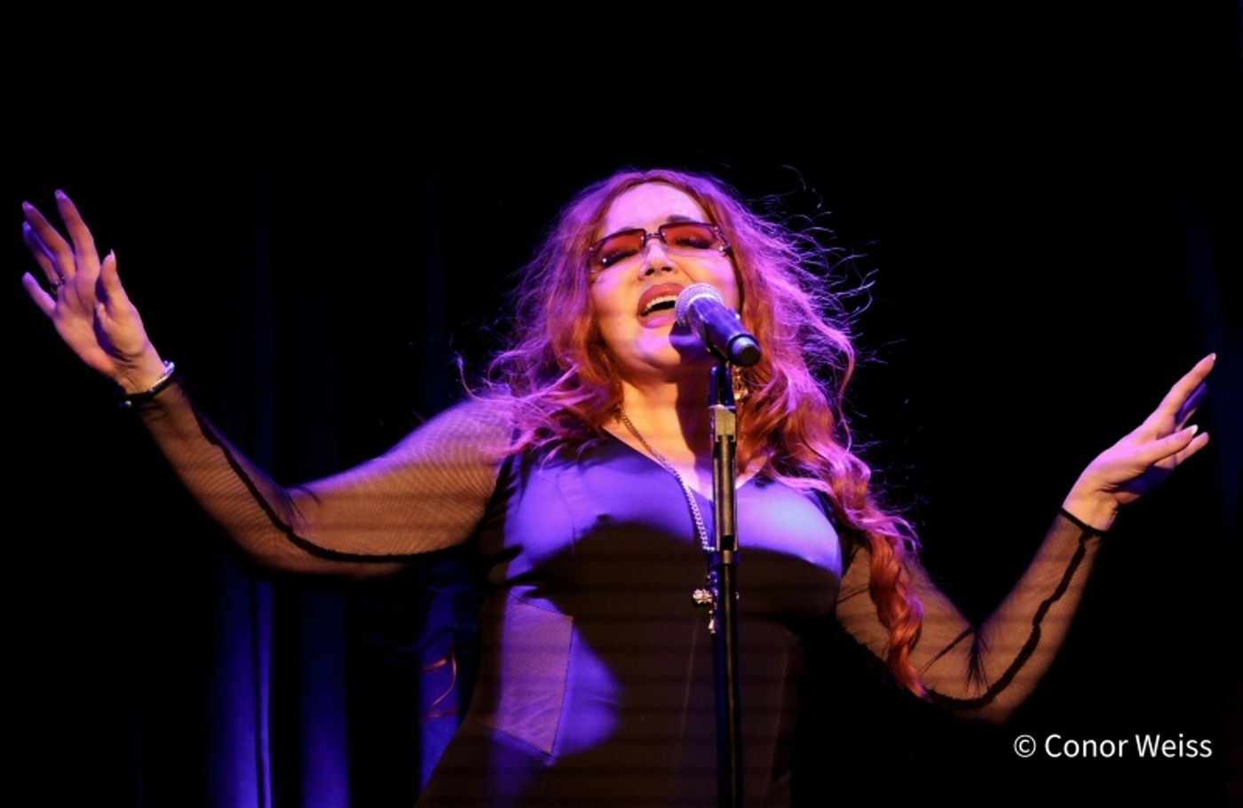 Photos: Dorothy Bishop Presents THE DOZEN DIVAS SHOW at The Triad Photos: Dorothy Bishop Presents THE DOZEN DIVAS SHOW at The Triad Image