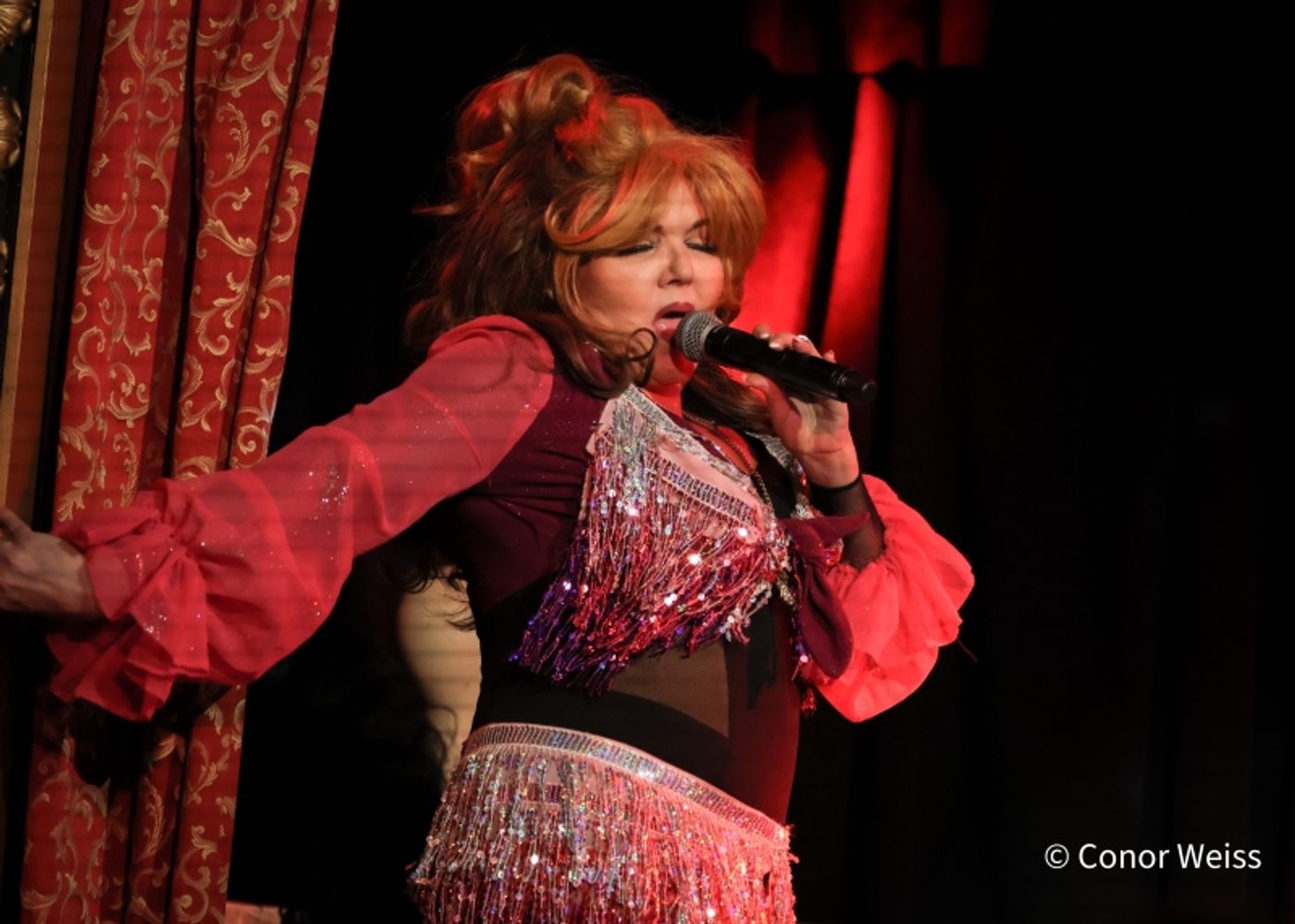Photos: Dorothy Bishop Presents THE DOZEN DIVAS SHOW at The Triad Photos: Dorothy Bishop Presents THE DOZEN DIVAS SHOW at The Triad Image
