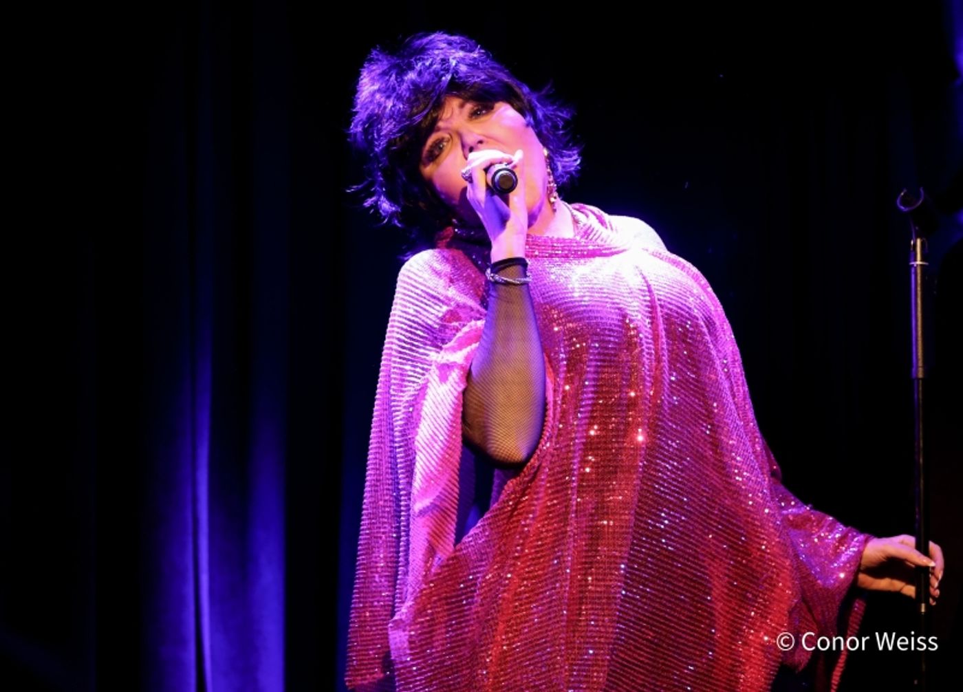 Photos: Dorothy Bishop Presents THE DOZEN DIVAS SHOW at The Triad Photos: Dorothy Bishop Presents THE DOZEN DIVAS SHOW at The Triad Image