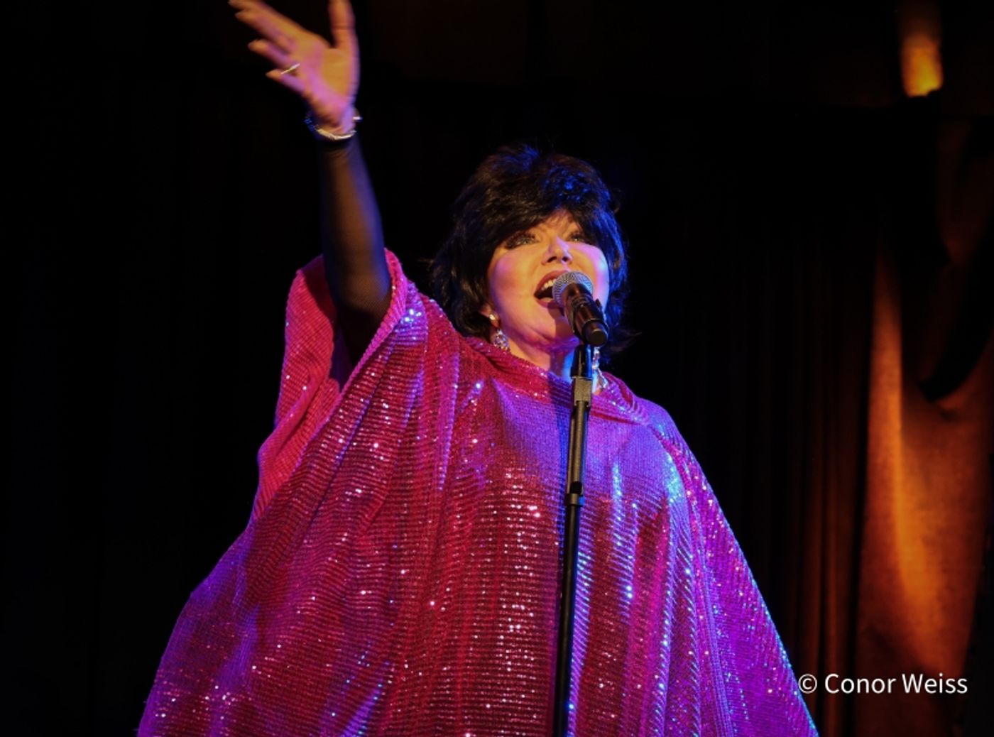 Photos: Dorothy Bishop Presents THE DOZEN DIVAS SHOW at The Triad Photos: Dorothy Bishop Presents THE DOZEN DIVAS SHOW at The Triad Image