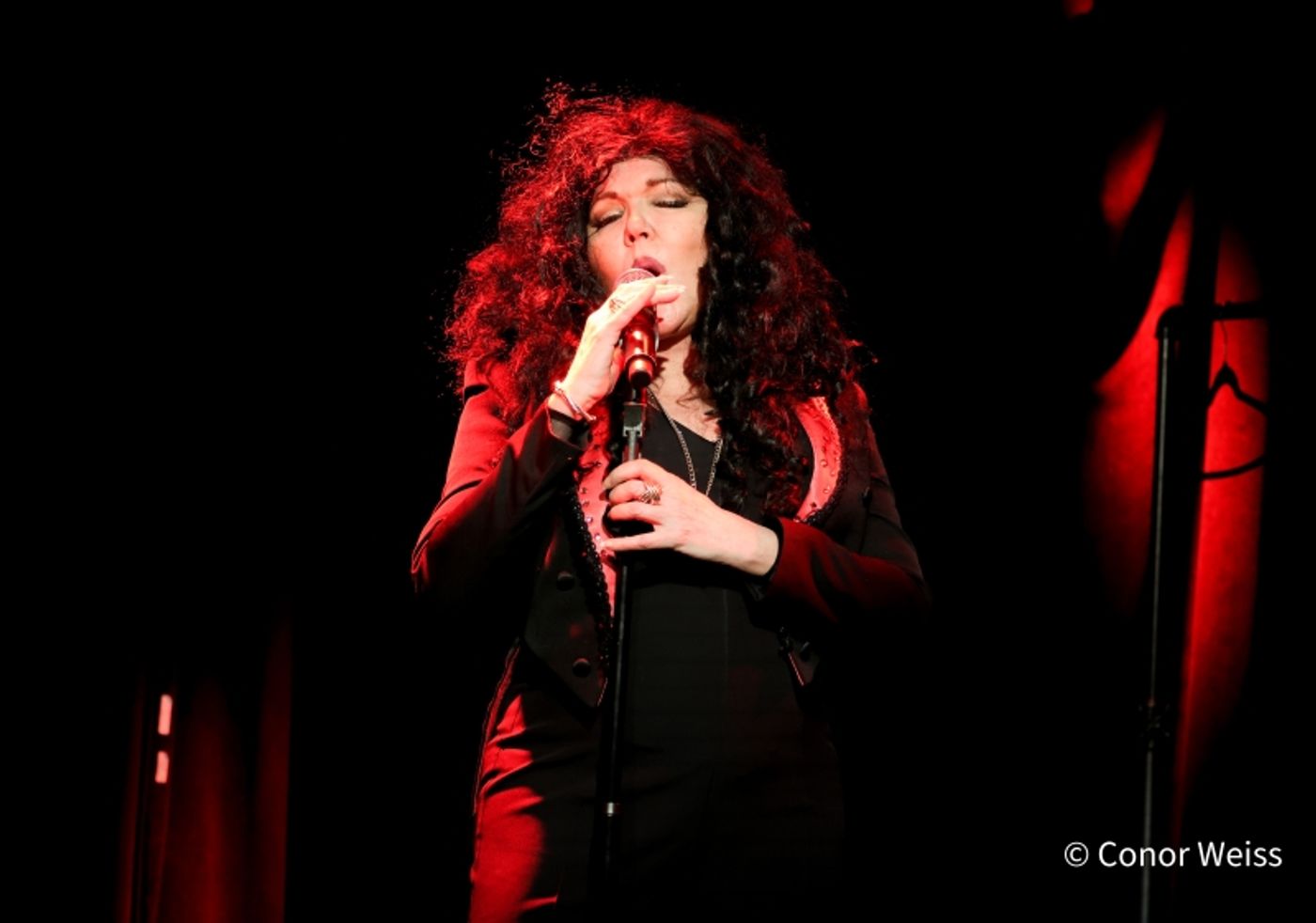 Photos: Dorothy Bishop Presents THE DOZEN DIVAS SHOW at The Triad Photos: Dorothy Bishop Presents THE DOZEN DIVAS SHOW at The Triad Image